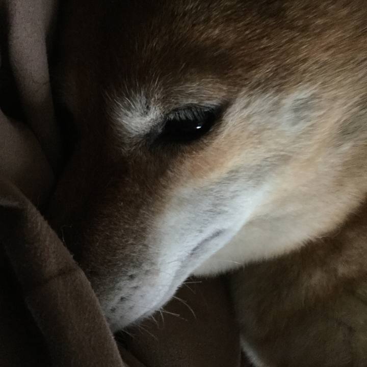 7722166d b629 4ed6 871e 31cda24eb34b 1567078338858