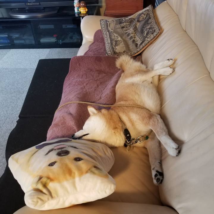 77222bd9 e399 4a0a 8722 e1b9f1e3f8ce 1698879387358