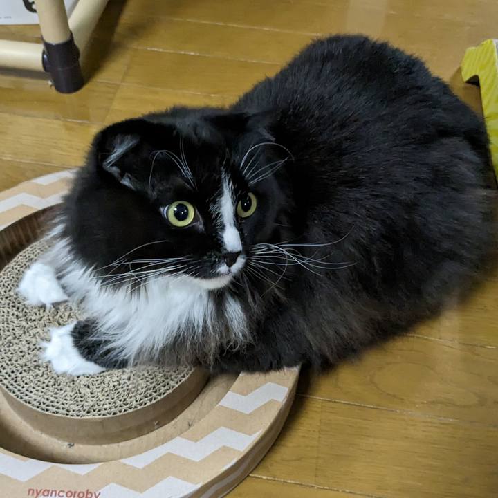 7722331b 7b02 41ea b5e9 44c7f0e50a12 1678882381651