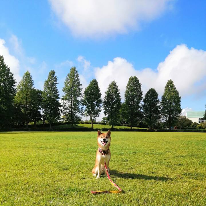 772233c7 5375 4fe9 9a0c fcfb63fba844 1598483973319