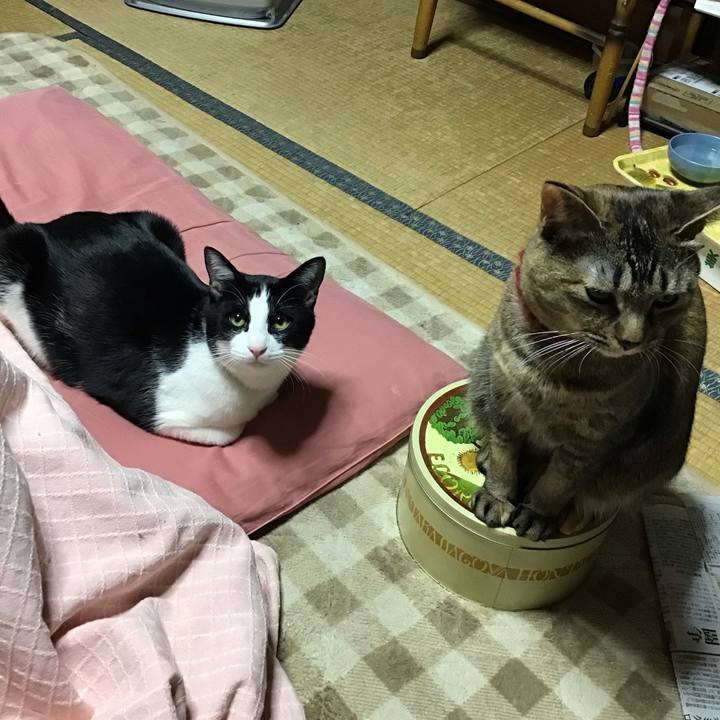 7722346d d407 489c 829c 312a77801196 1644398547440