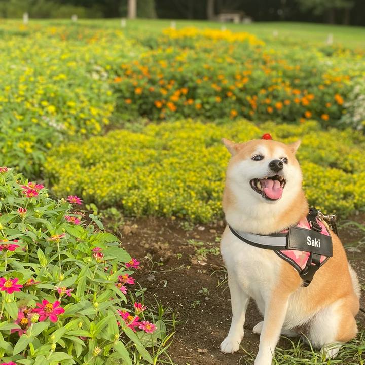 77223654 92c2 4e39 b814 0b544f31f79d 1660687570408