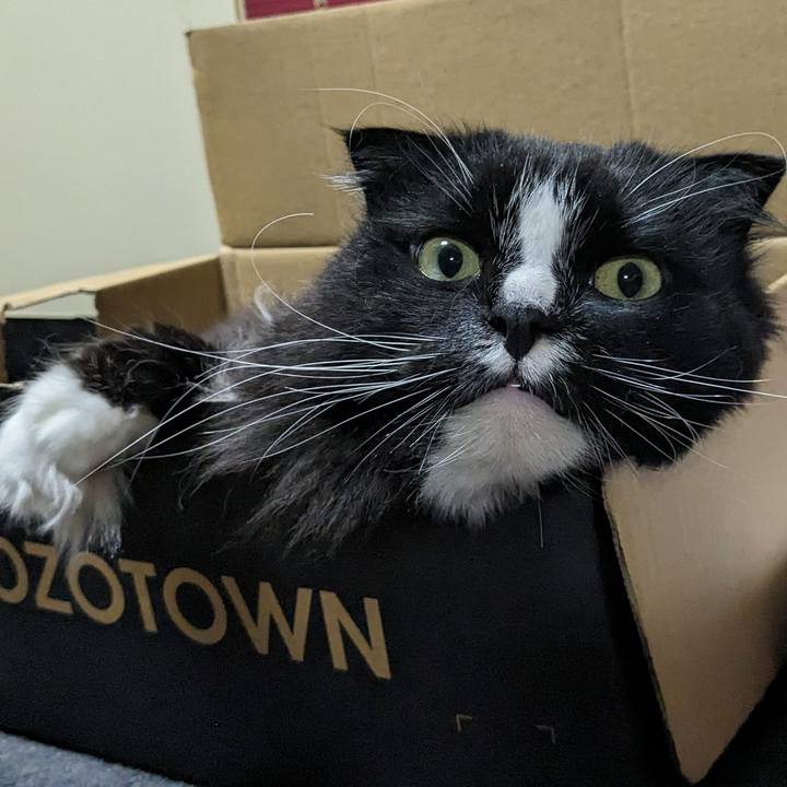 772248ff 2eb3 45eb 901c ed64a5701ad0 1715547851461