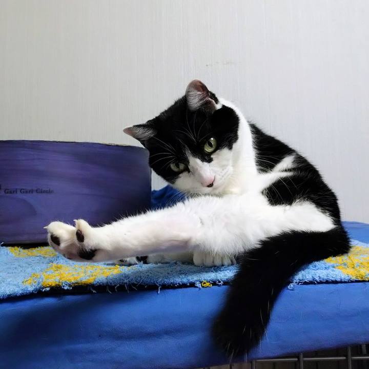 7722a016 e271 491b b3da 3cb7858b1f73 1763474982415