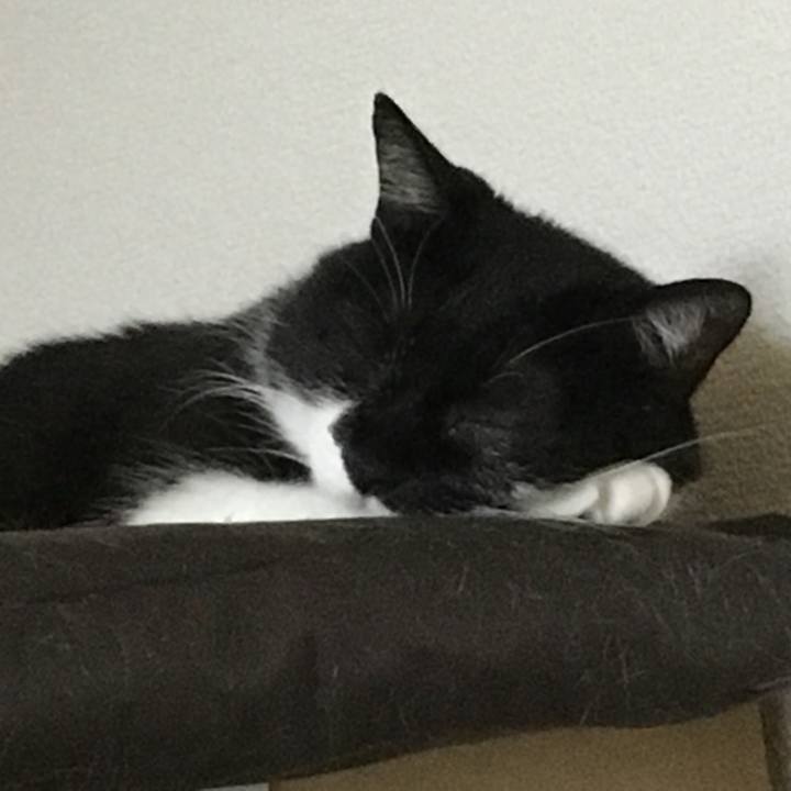 7722a41c d64d 4e66 aa6d 35cf86b64a68 1531102810165