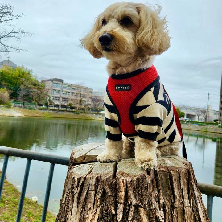 7722b549 92ec 4ae0 83e9 4f9fbe78c57f 1772185836283