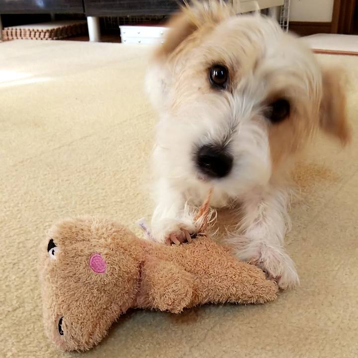 7722cfb7 2db1 4d3e ac41 4503a8fc5127 1536790796855