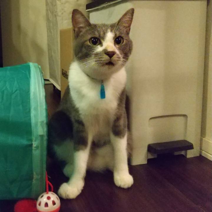 7722e451 8717 4e28 872a 51aaa25dbc9f 1596464801174