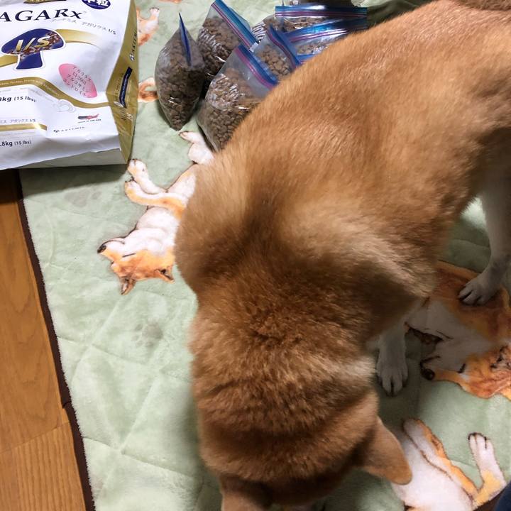 77231a83 a4ad 4456 bdbb f7a35bd34242 1573033244892