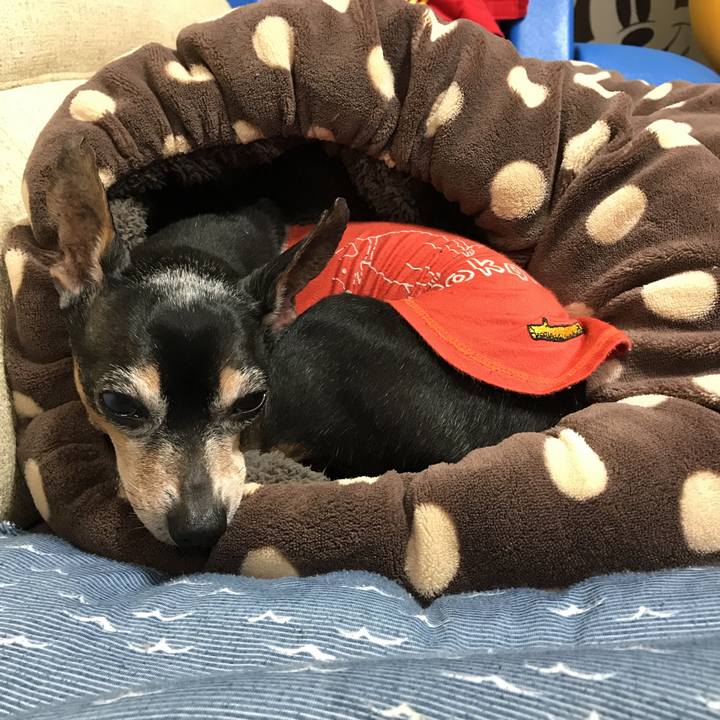 77232dbb fc0e 4dfe bde7 a67150d8eacf 1522592571440