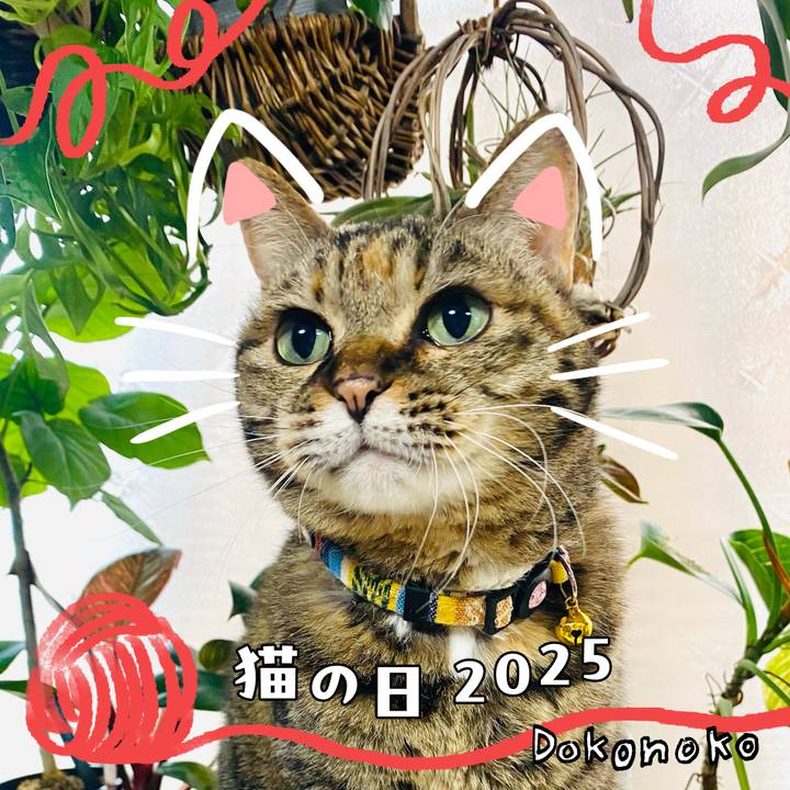 7723487f 5c96 4de2 8e59 985841e0899b 1740184171889