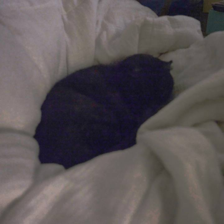 77236f4a 761d 4b77 a5da a108b2bbc6ad 1642251979147