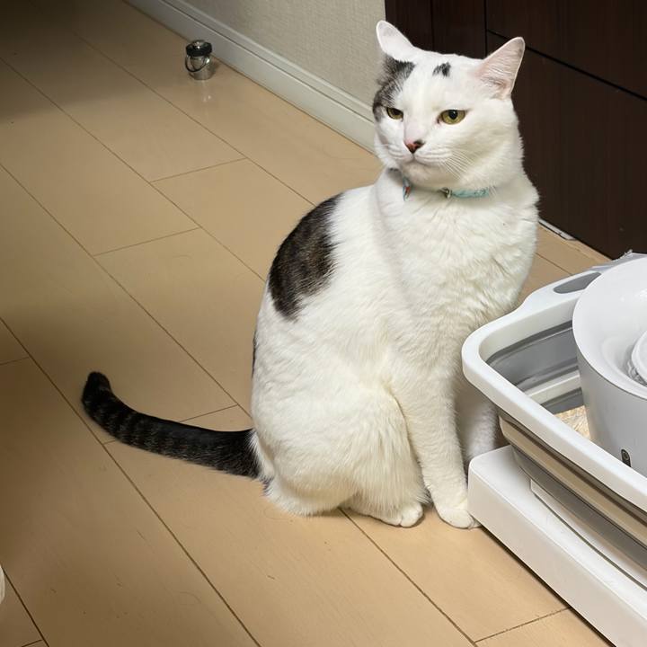 77237c9c f173 49df a2e9 979c9be15d01 1770564295124