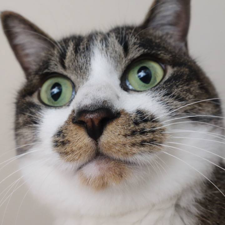 7723ac41 f8f6 4267 ab76 07984de9644e 1768020696213