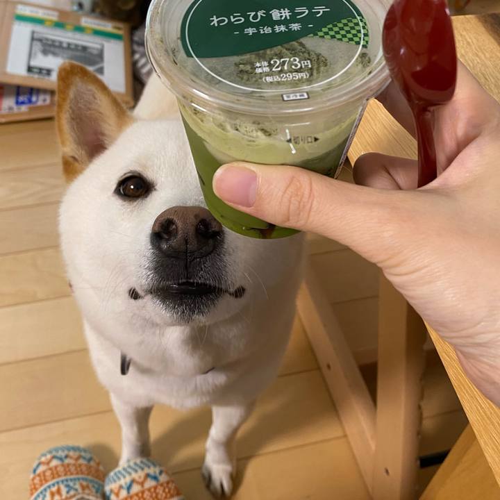 7723c5bc 3439 4299 bfea 4b6b47c21855 1630500745865