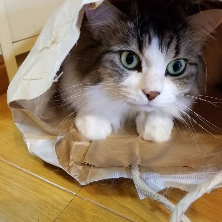 7723cc2f f19f 4912 b796 47cc43313755 1536111608887