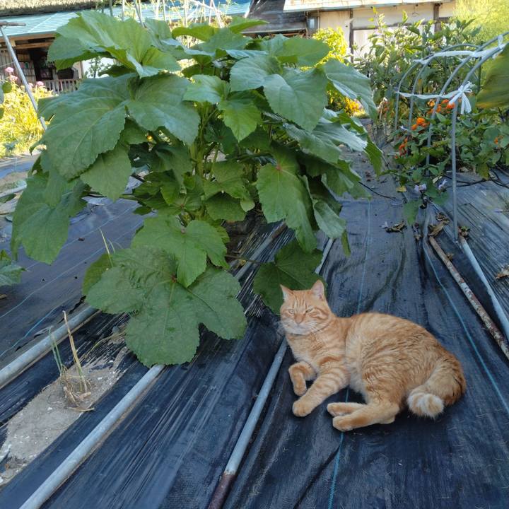 7723ec96 92ca 4a30 9c87 036dc38c032d 1691535200271