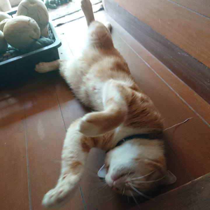 7723f352 71ff 4ced a830 f5151d3930b6 1565414649230