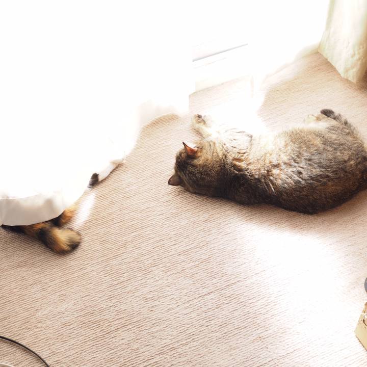 7723f692 321e 4ba7 9663 c6f582fb63b8 1551503113837