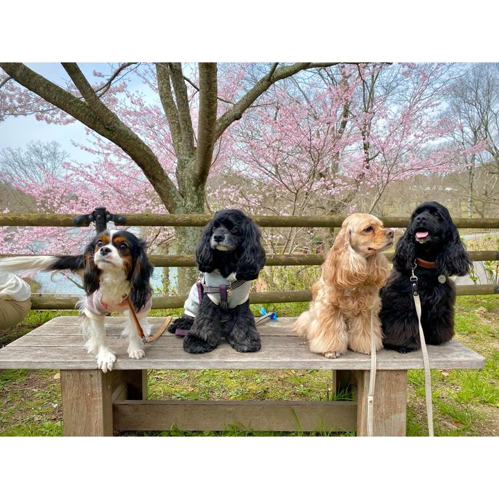 77241430 ada0 4d94 b117 1b494faa2582 1712280057552