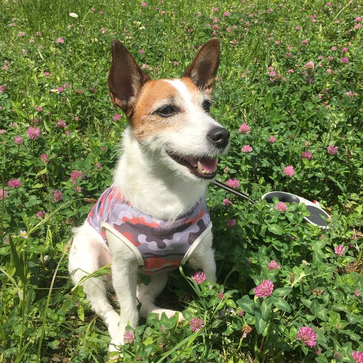 772425c4 2f9b 4074 aced 921bbb887618 1590362882165