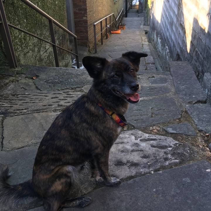 77244d3f 253a 44c0 b582 accf61fabec7 1507719751919