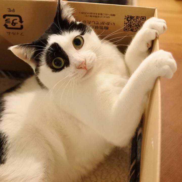 77244ff9 3bf0 4301 9a07 1b7b5a221c5b 1517574790675