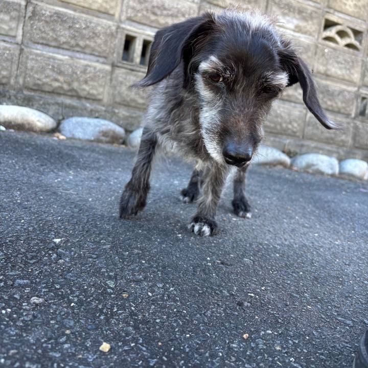 77245cd2 e552 49bf b52f d13f35a809f8 1760050975089