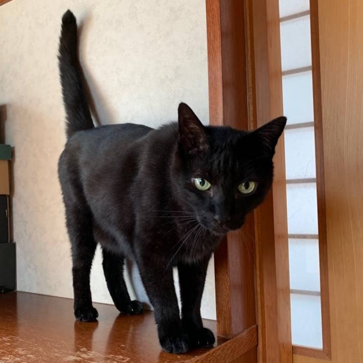 77246c00 aae2 4f60 8952 35f67a6560fe 1558486561209