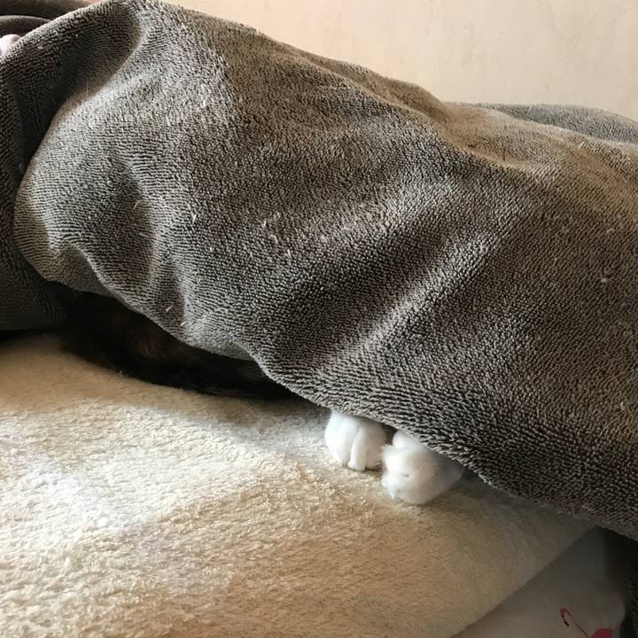 77248aa2 ee37 496e b143 bc8b6b4db452 1509002304911