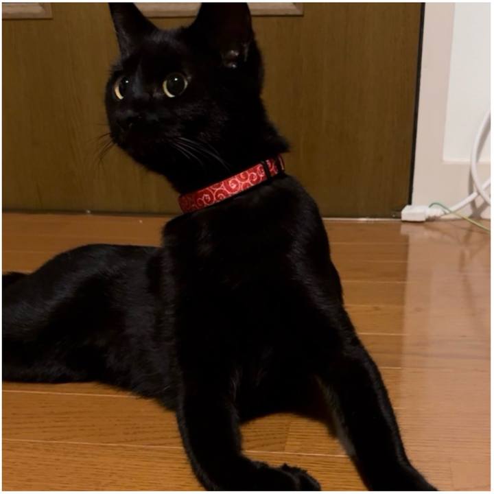 77248fab ce5a 4b9c 87c5 efb1e4722981 1731974118142