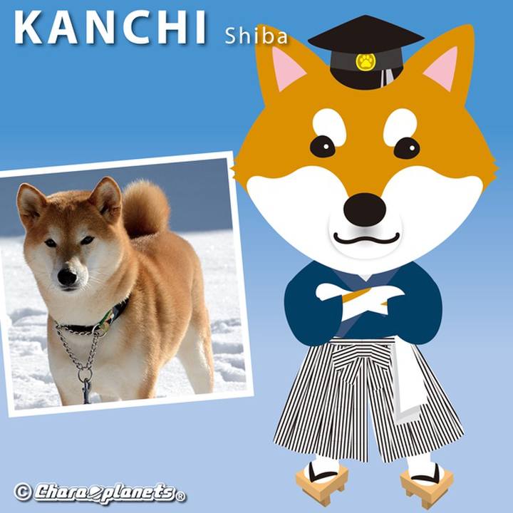 7724987d 4b2b 4269 b0bb cf7e409577d5 1561948812808