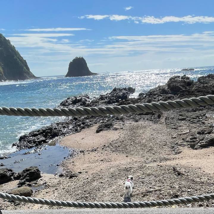 7724cd6a 0716 40c3 bfeb 54a53a6d1d41 1762751967894