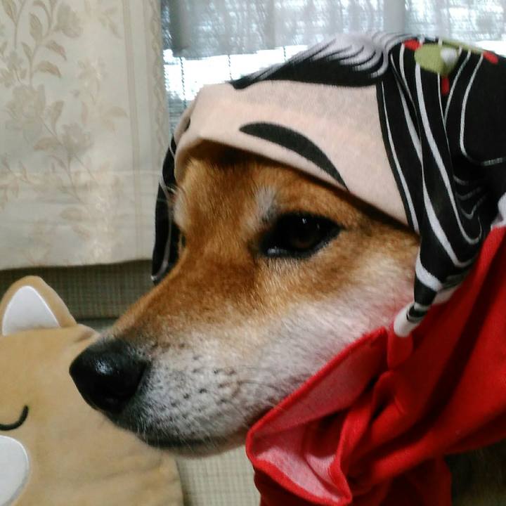 7724d206 48bf 43e2 9426 64574bb35d51 1508837200517