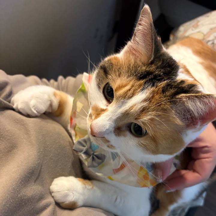 7724d884 2f84 4691 8143 693048693e82 1773668482288