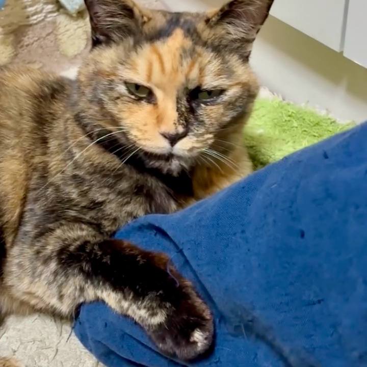 77250c17 d4eb 4657 a3e3 80e2e77f33c2 1762425945620