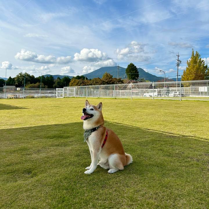 77251308 28c1 41c8 96bf 9e76b4b8cd8a 1729846796393