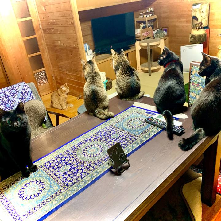 77256a96 e111 4c31 8a73 b8f999880cd0 1667306587945