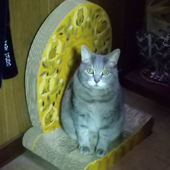 77259741 4682 4ee0 b4ad 6b6461e1a59d 1602860769929