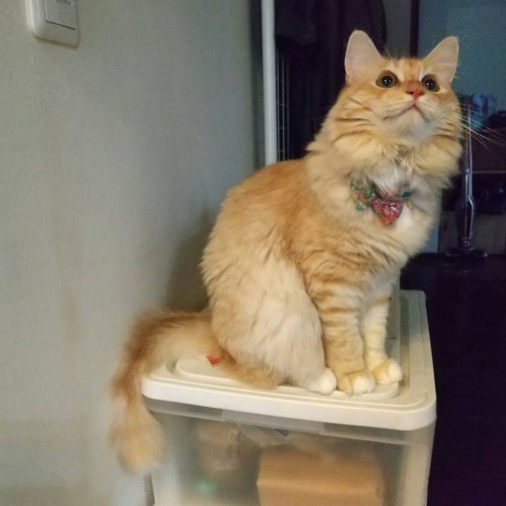 7725ac00 4bfe 49e1 99ee 8efc28298440 1633989621811