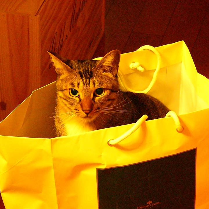 7725e6eb 51c8 4680 b59d e310f15763ef 1618529791974