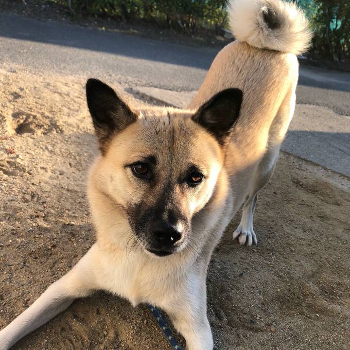 7725e8f5 0219 4903 993d cb359eca736d 1602756831794