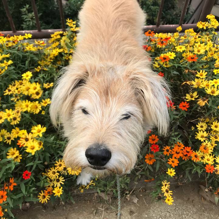 7725e8fc 4bd1 4d69 b915 119afa0909a9 1573188141553