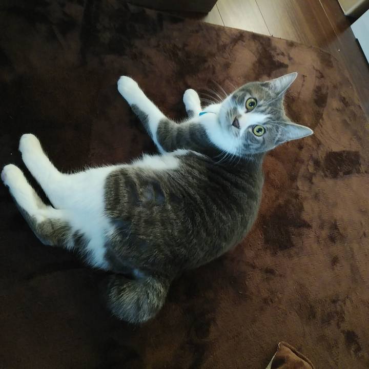 7725fafe 842c 46ab a057 116899e96f7b 1579129350979