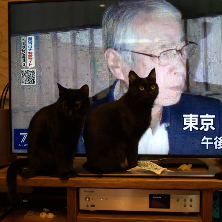 77263488 d6a9 4c21 9a4d db038fa3631e 1585819558706