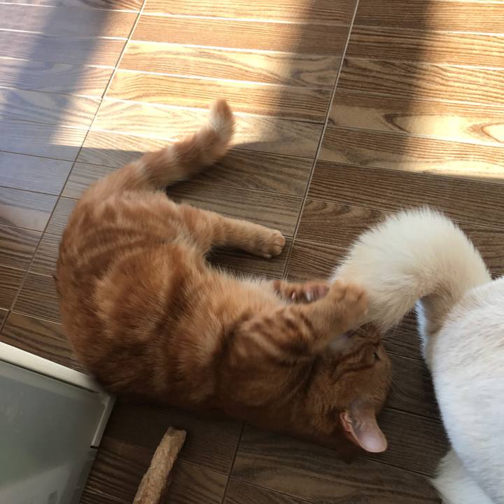 7726499b 11fd 4e89 8524 0aa54dd629c3 1513175034901