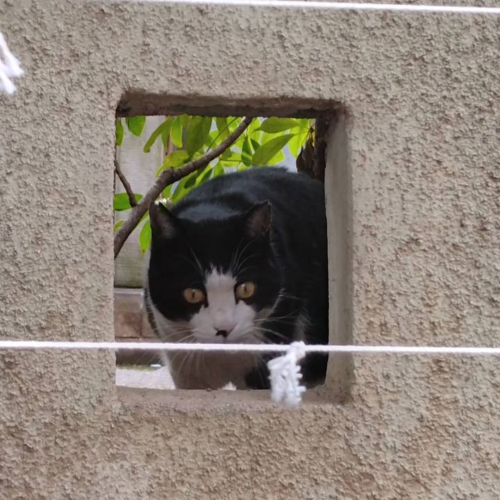 77268159 90cb 48e7 a8d9 e97426c58c7a 1708417430650