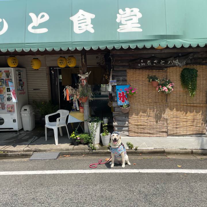 7726bc1f 79d4 4cee be1c 8f8703422960 1627535540167