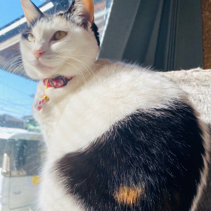 7726c336 0feb 4b6a b16a 40987092e45f 1707823497744