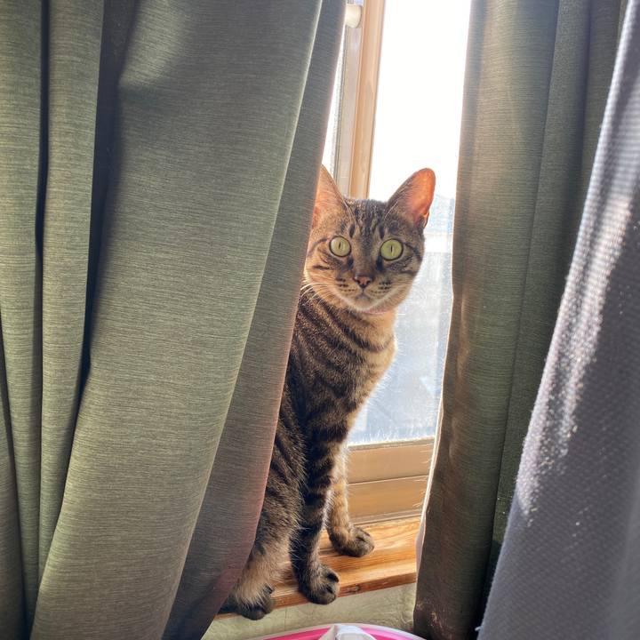 7726dda4 217f 4e1f ac52 56ebf8b13a97 1613257988279